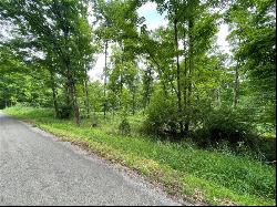 Greenlee Rd, Lot #1, Sandy Lake Twp PA 16342