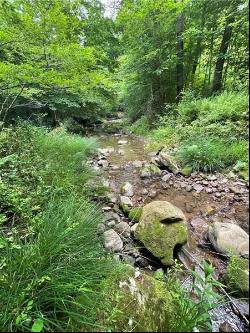 Greenlee Rd, Lot #1, Sandy Lake Twp PA 16342