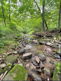 Greenlee Rd, Lot #1, Sandy Lake Twp PA 16342