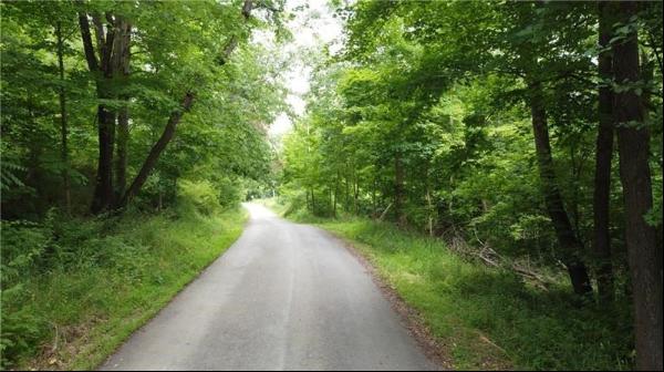 Greenlee Rd, Lot #3, Sandy Lake Twp PA 16342