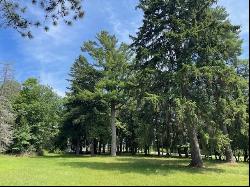 580 West Bluff Drive - Lot B, Harbor Springs MI 49740