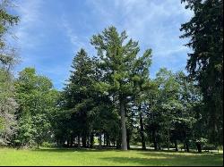 580 West Bluff Drive - Lot B, Harbor Springs MI 49740