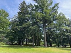 580 West Bluff Drive - Lot B, Harbor Springs MI 49740