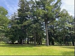 580 West Bluff Drive - Lot B, Harbor Springs MI 49740