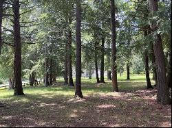 580 West Bluff Drive - Lot B, Harbor Springs MI 49740