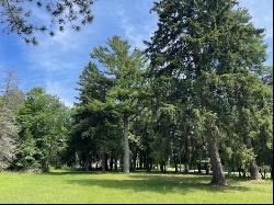 580 West Bluff Drive - Lot B, Harbor Springs MI 49740