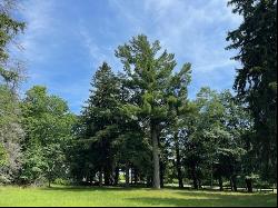 580 West Bluff Drive - Lot B, Harbor Springs MI 49740