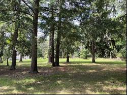 580 West Bluff Drive - Lot B, Harbor Springs MI 49740