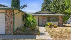 Penny Lane, Modesto CA 95354