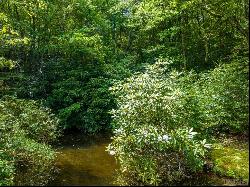 Lot 19 Receptive Drive, Glenville NC 28736