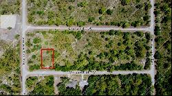 117 Conquest Street NW, Lake Placid FL 33852