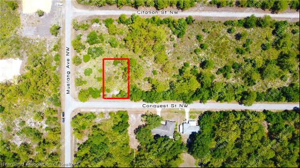 117 Conquest Street NW, Lake Placid FL 33852