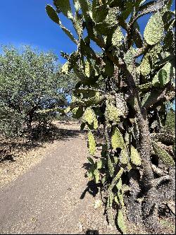 Rancho Guadalupe