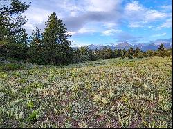 737 County Road 203, Westcliffe, CO 81252