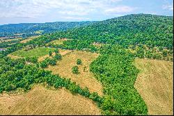 Ridgeside Road,Bluemont, VA, 20135