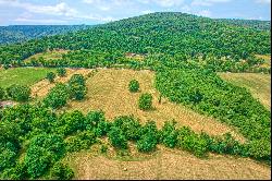 Ridgeside Road,Bluemont, VA, 20135