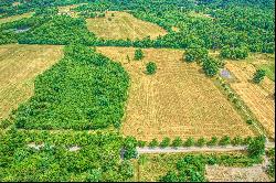 Ridgeside Road,Bluemont, VA, 20135