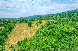 Ridgeside Road,Bluemont, VA, 20135