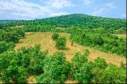 Ridgeside Road,Bluemont, VA, 20135