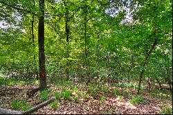 Stunning 2+/- Acre Lot Near Vinings