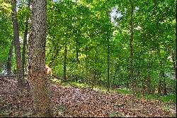 Stunning 2+/- Acre Lot Near Vinings