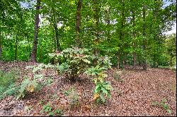 Stunning 2+/- Acre Lot Near Vinings