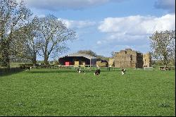 Steeple Chase Farm, Beach Road, Cottenham, Cambridge, CB24 8AP