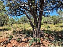 1103 N Aviator Parkway, Payson AZ 85541