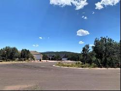 1103 N Aviator Parkway, Payson AZ 85541