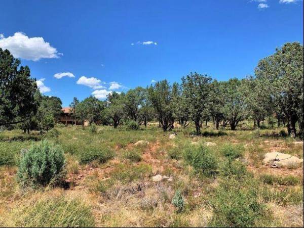 1103 N Aviator Parkway, Payson AZ 85541