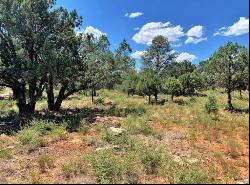 1103 N Aviator Parkway, Payson AZ 85541