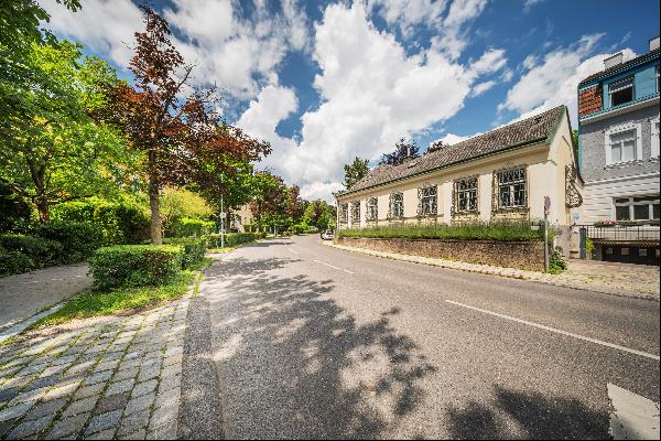 Idyllic winegrower's house with historic wine cellar, pool and beautiful garden in the 19t