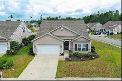 1266 Brighton Hill Ave, Myrtle Beach SC 29588