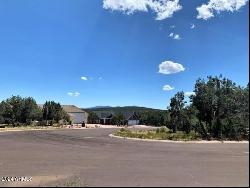 1103 N Aviator Parkway #63, Payson AZ 85541