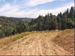 550 Panorama Ln, Roseburg OR 97471