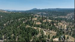 20+ Acre Lot Overlooking Clio, CA