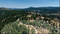 20+ Acre Lot Overlooking Clio, CA