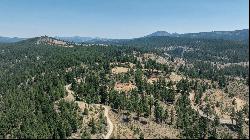 20+ Acre Lot Overlooking Clio, CA