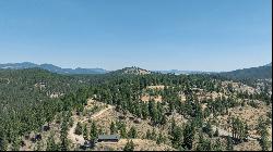 20+ Acre Lot Overlooking Clio, CA