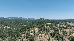 20+ Acre Lot Overlooking Clio, CA