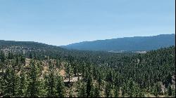 20+ Acre Lot Overlooking Clio, CA