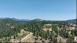 20+ Acre Lot Overlooking Clio, CA