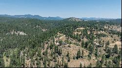 20+ Acre Lot Overlooking Clio, CA