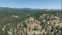 20+ Acre Lot Overlooking Clio, CA