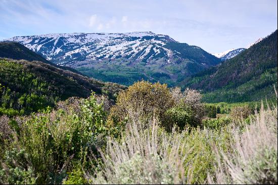 Snowmass