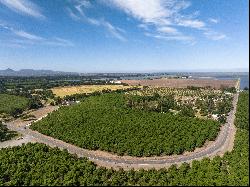 Resort-Like Sanctuary in the Heart of Sacramento Valley