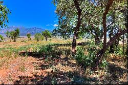 4 Acres of Land in LaSal