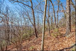 5 Acres Reflections Point Trl #95, 96, & 98, Fancy Gap VA 24328