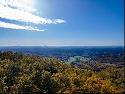 5 Acres Reflections Point Trl #95, 96, & 98, Fancy Gap VA 24328