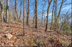 5 Acres Reflections Point Trl #95, 96, & 98, Fancy Gap VA 24328